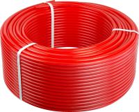 xz5ifhb0yw8mx9i0cnozjb3t1c9c2xvk