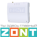 Термостаты ZONT