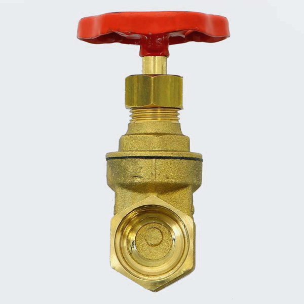 q9r26db9fos2wrtl43rmcjmw542fd3hf